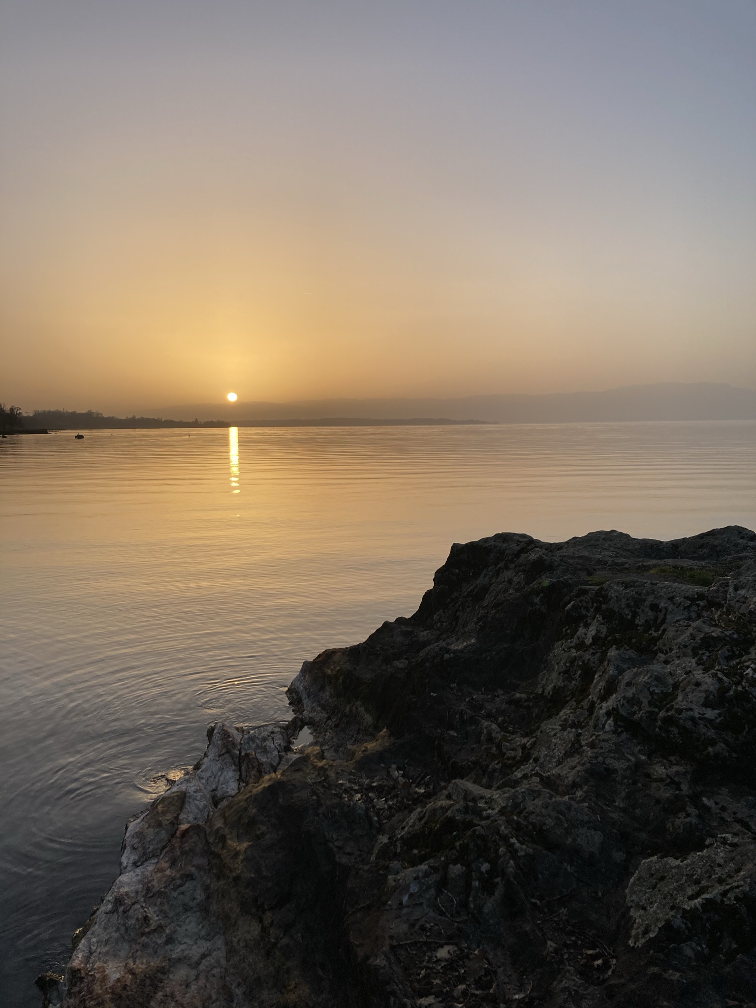 html5 bootstrap by colorlib.com